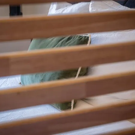 Le Napoleon Apartment Vichy