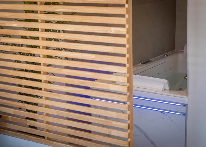 Le Napoleon Apartamento Vichy