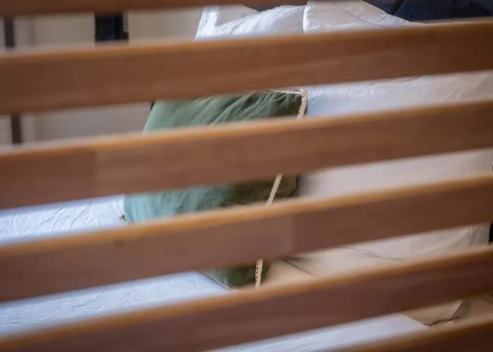 Le Napoleon Apartamento Vichy